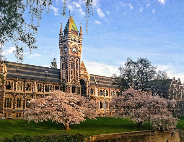 A beautifully ornate building surrounded by pink flowered trees on University of Otago's campus