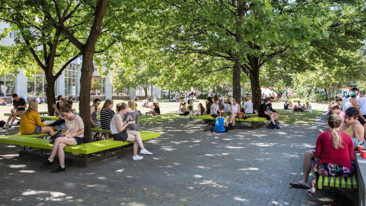 People sit on benches under trees on University of Canterbury's campus in New Zealand