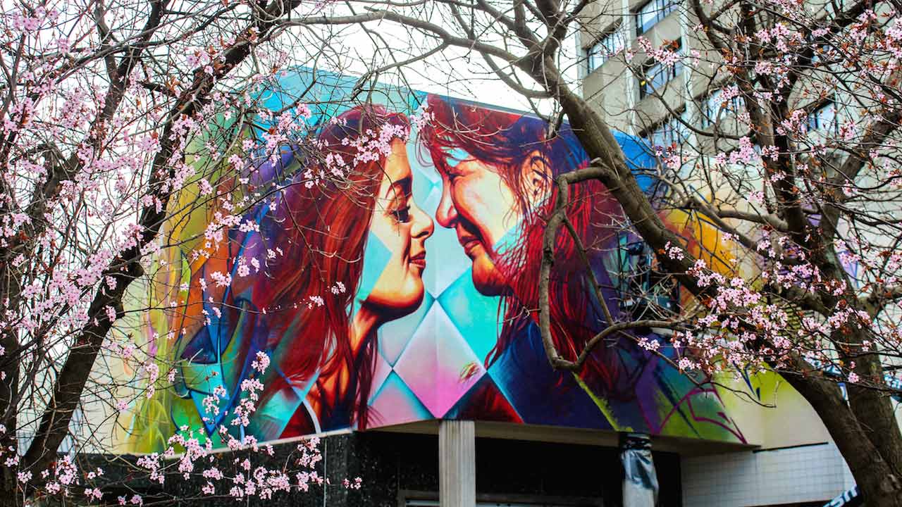 A large display of street art on the side of a building in Dunedin, New Zealand