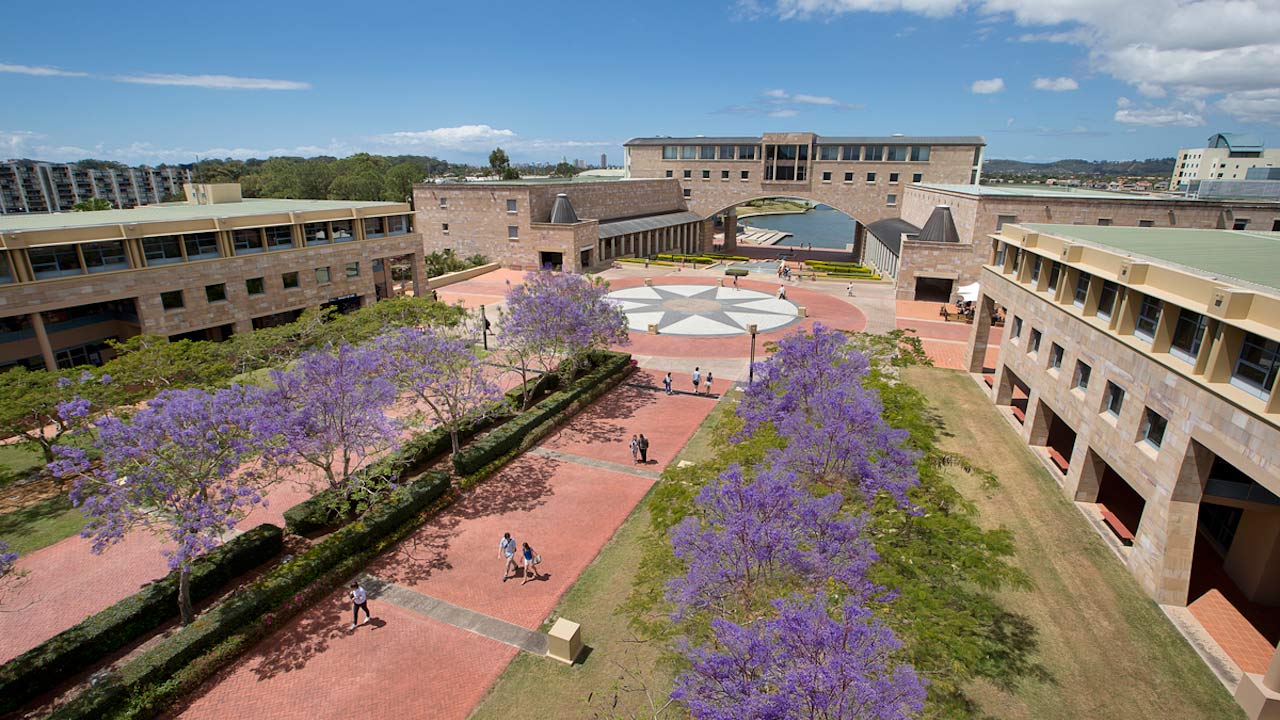 People walking down a pathway lined with purple flowers leading to the center of campus