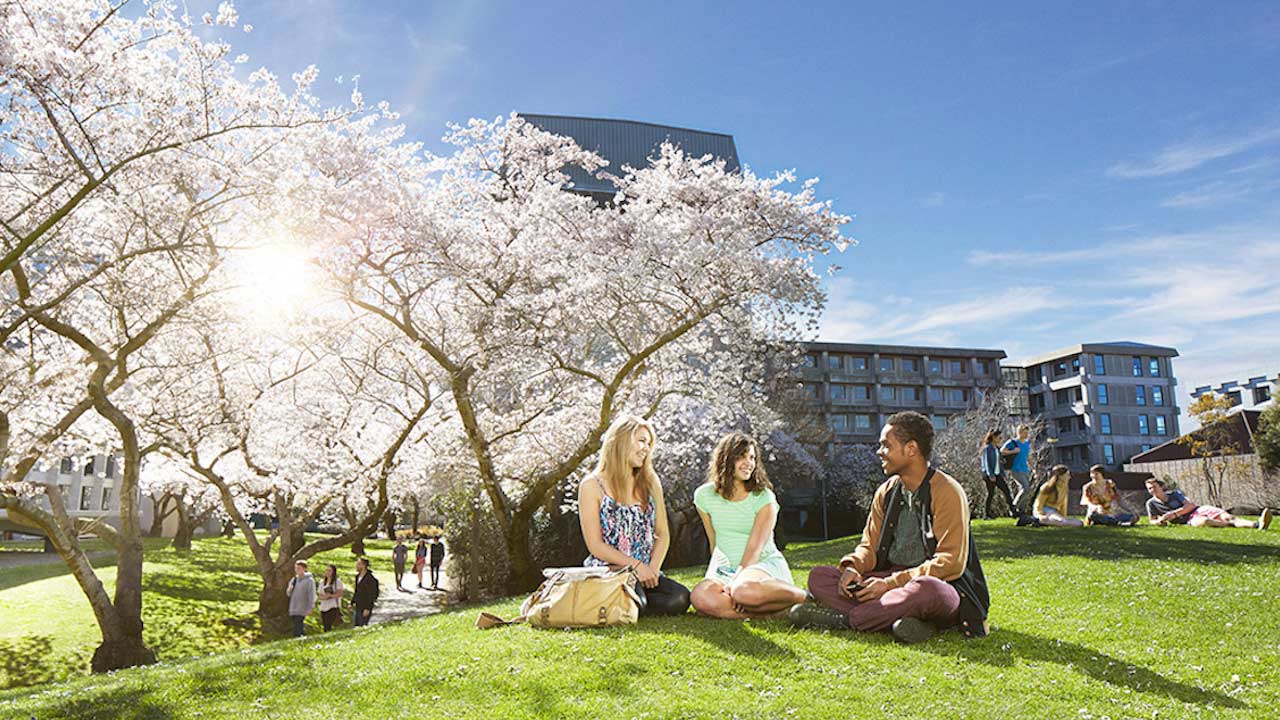 Three women sit on the grass under a white flowered tree on University of Canterbury's campus