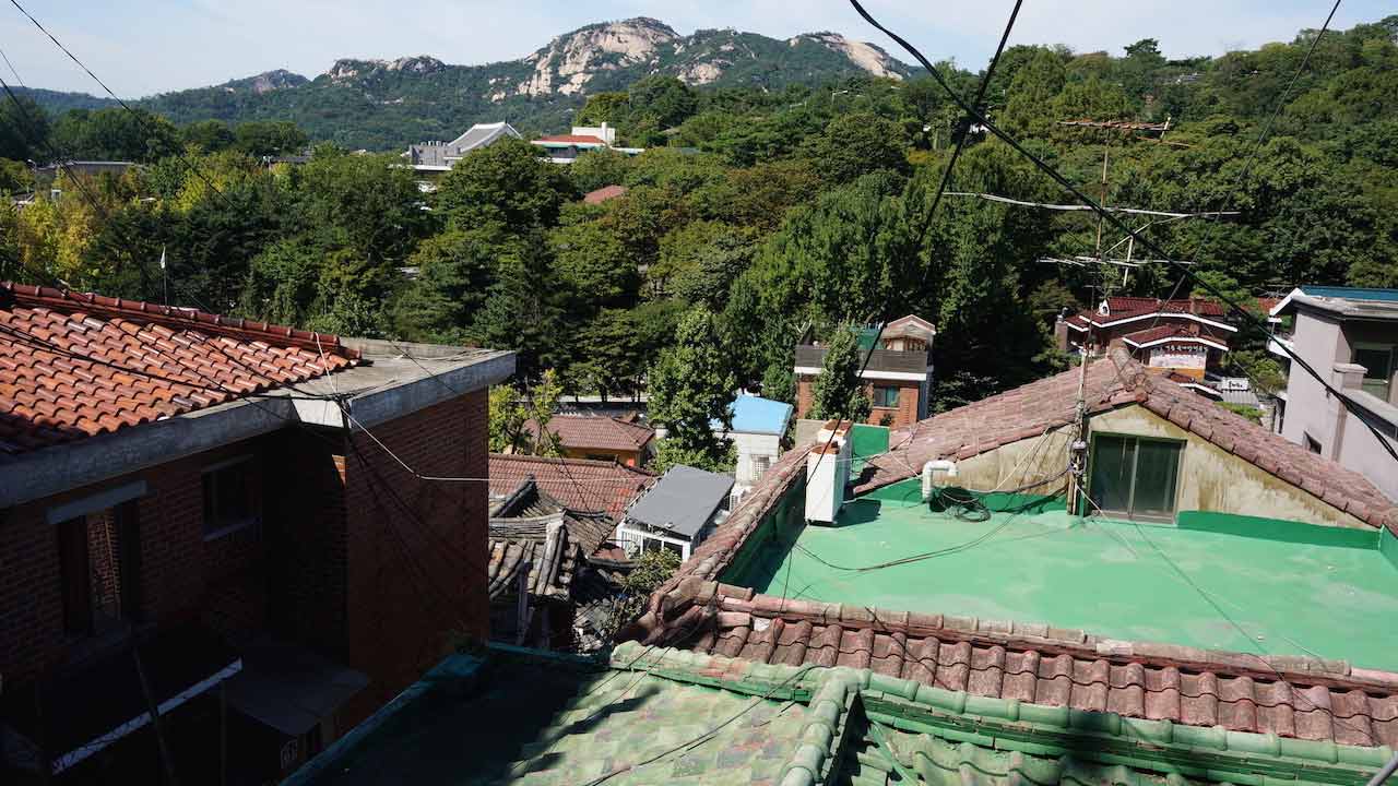 An assortment of different coloured roofs in front of trees in Korea
