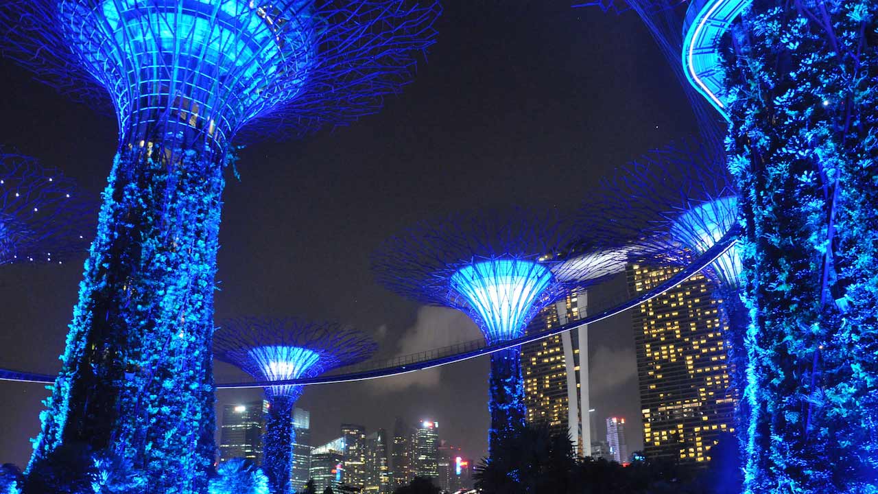 Supertrees illuminated blue in Singapore at night