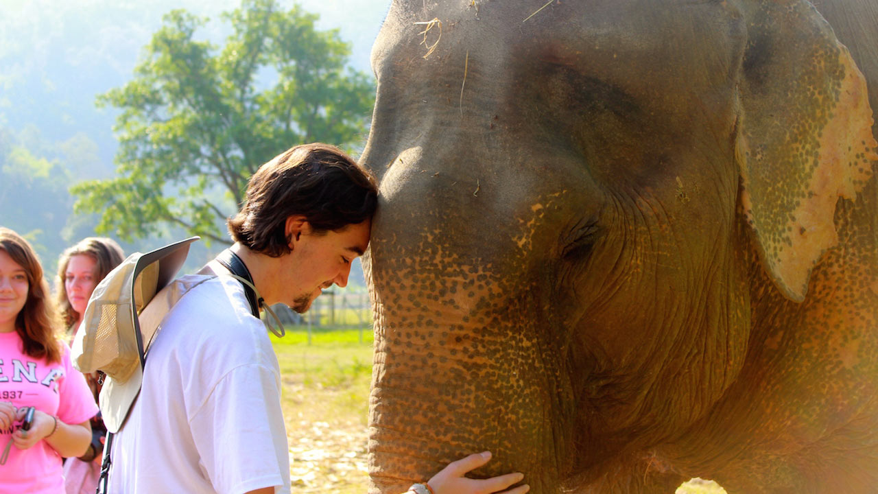 A male student bows his head to an elephant's trunk at Elephant Nature Park in Chiang Mai, Thailand