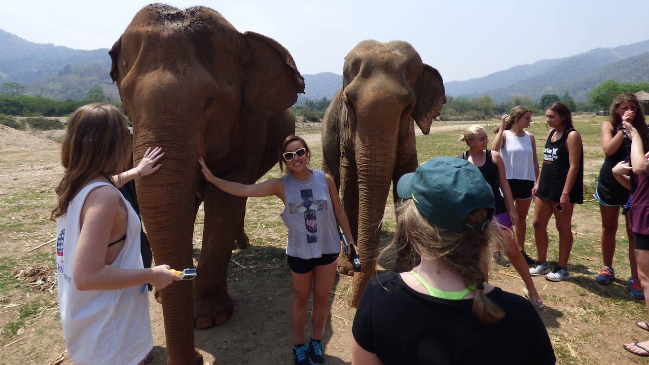 Students pose to take photos with elephants at Elephant Nature Park in Chiang Mai, Thailand