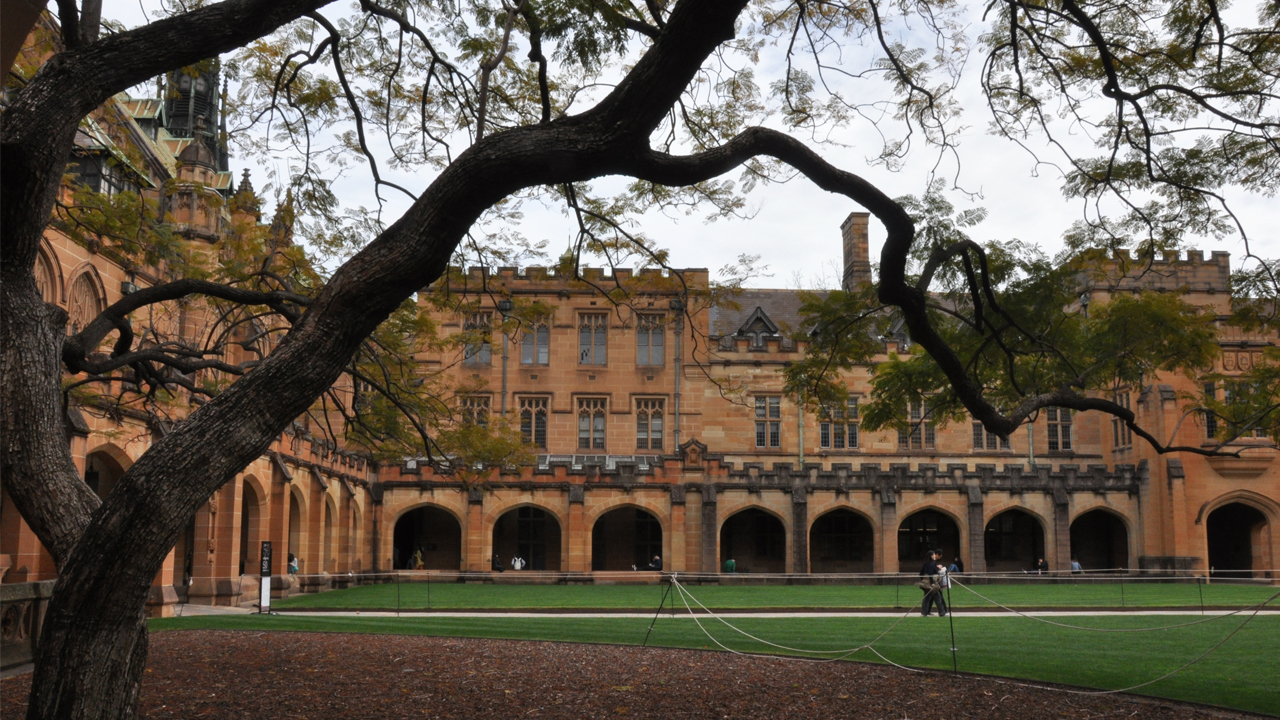 A person walks along a path in the middle of a grassy quad on University of Sydney's campus