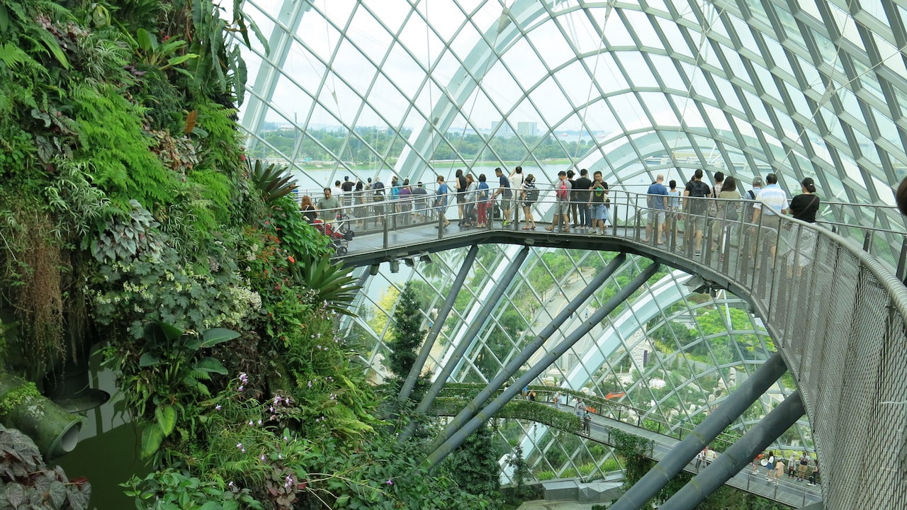 People walk along a suspended bridge viewing lush greenery inside a dome in Singapore