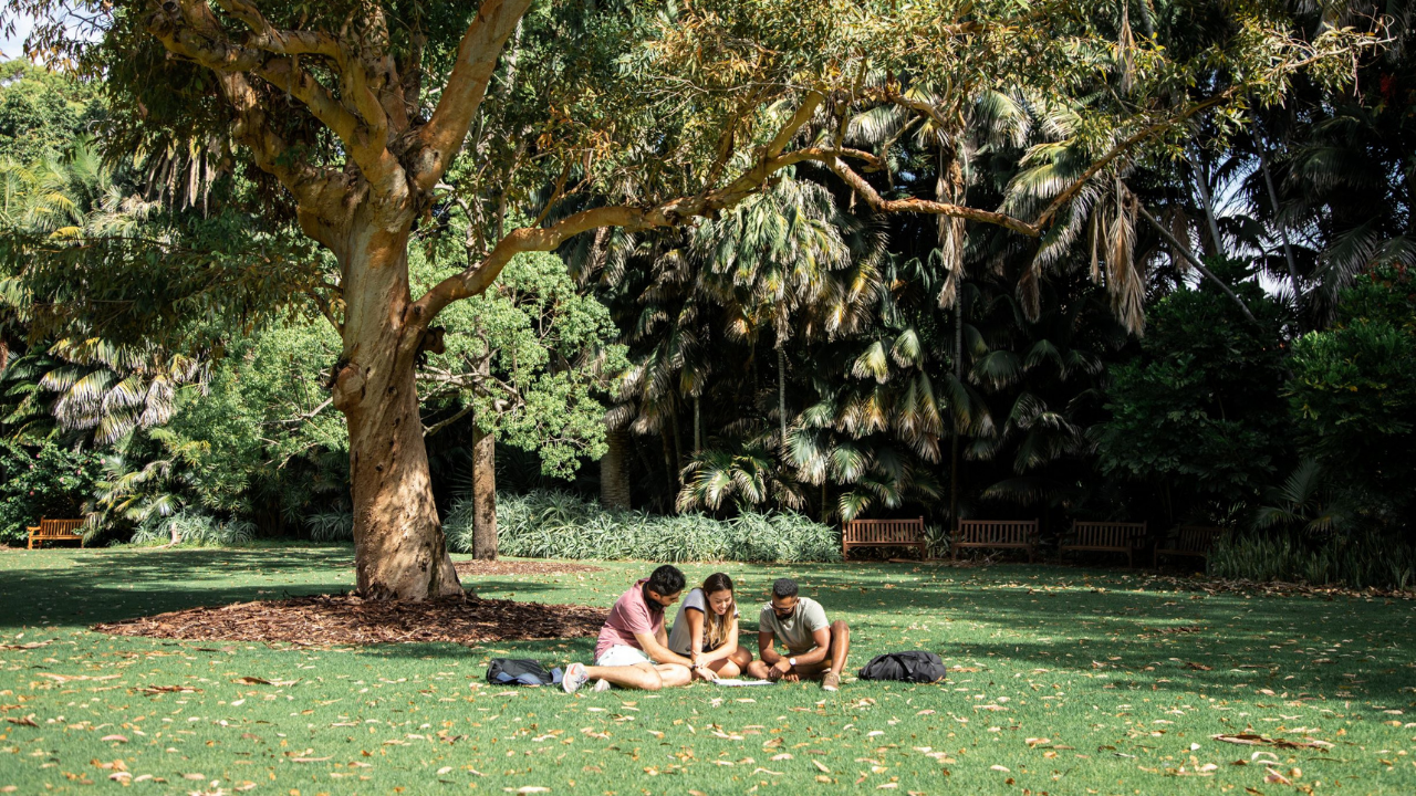 Students sitting on UWA Campus lawn
